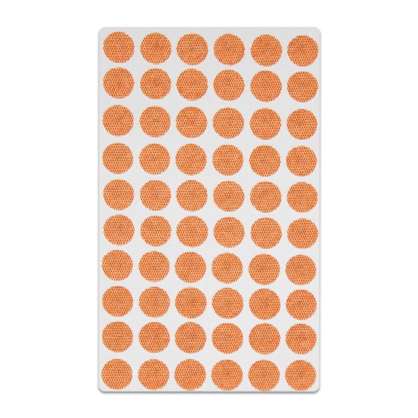 Vaccaria Herbal Seeds avec autocollant rond (300 pièces) Vaccaria Herbal Seeds avec autocollant rond (300 pièces)